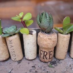 cool-diy-mini-magnet-garden-5