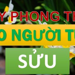 Người tuổi Sửu hợp cây phong thủy gì?