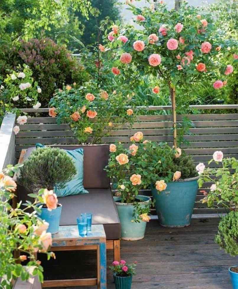 Trồng hoa hồng chưa bao giờ là quá trình đơn giản như hiện nay. Với công nghệ tiên tiến và những phương pháp trồng mới, bạn có thể tạo ra những khu vườn hồng đẹp mắt và phong phú ngay trên ban công của mình. Cùng xem những hình ảnh đẹp và chia sẻ cùng cộng đồng yêu hoa.