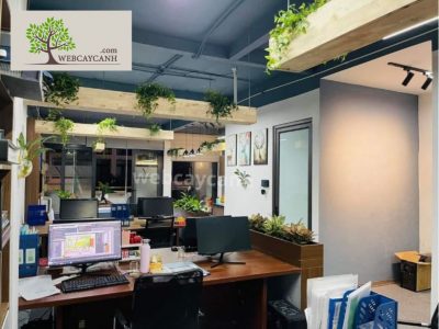 dự án cây xanh văn phòng