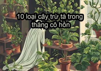 10 loại cây trừ tà trong tháng cô hồn